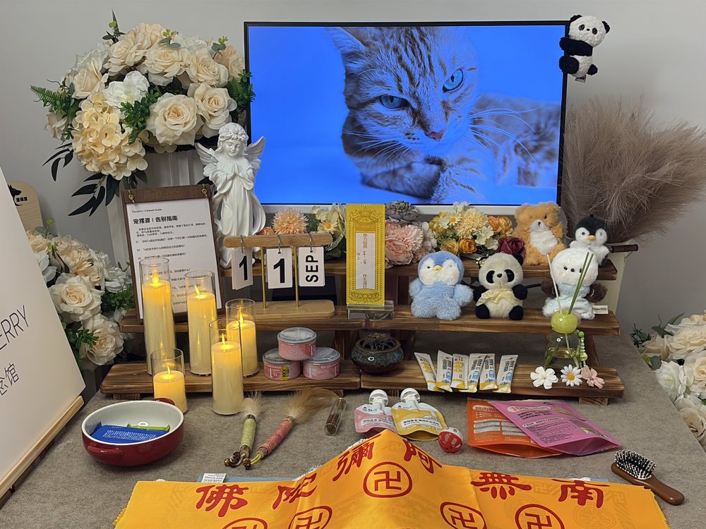 宠物告别仪式现场布置